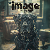 Turkey & Rabbit 70/20/10